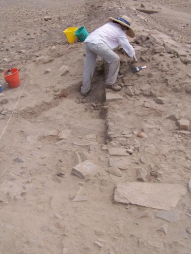 Trabajos de excavación. Pampas Sur - 2009